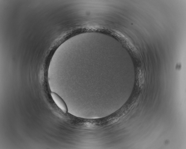 X0000116610496201001221322