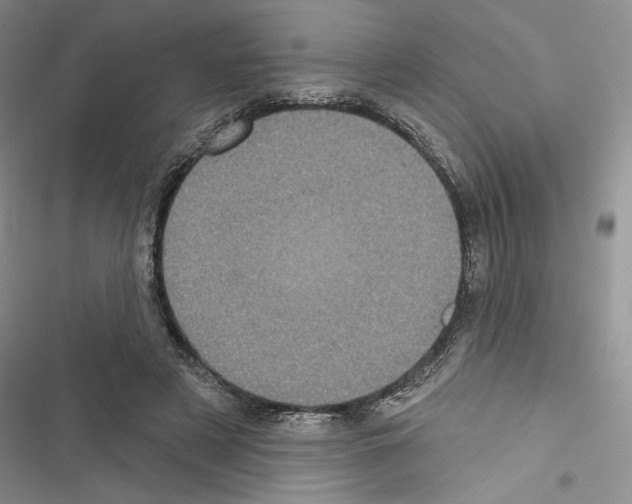 X0000116610497201001221322