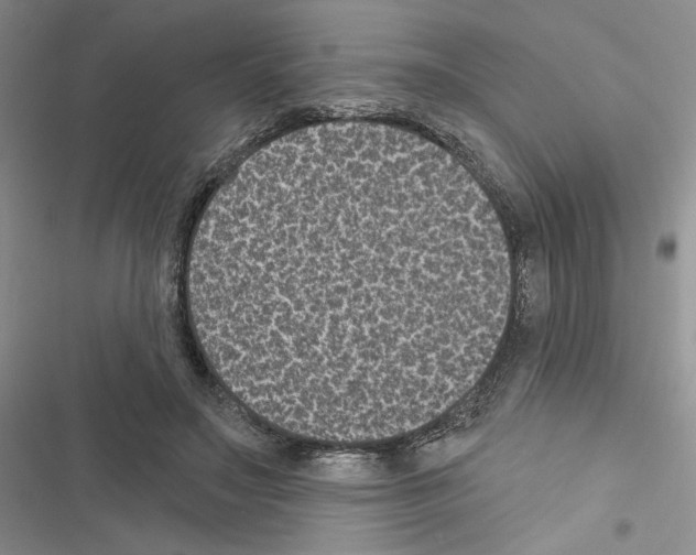 X0000116610499201001221322