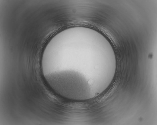 X0000116610501201001221322