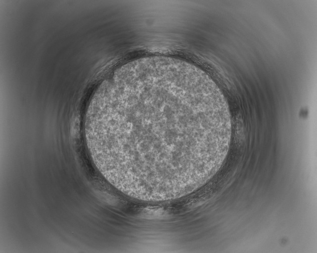 X0000116610502201001221322