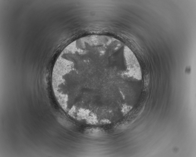 X0000116610503201001221322