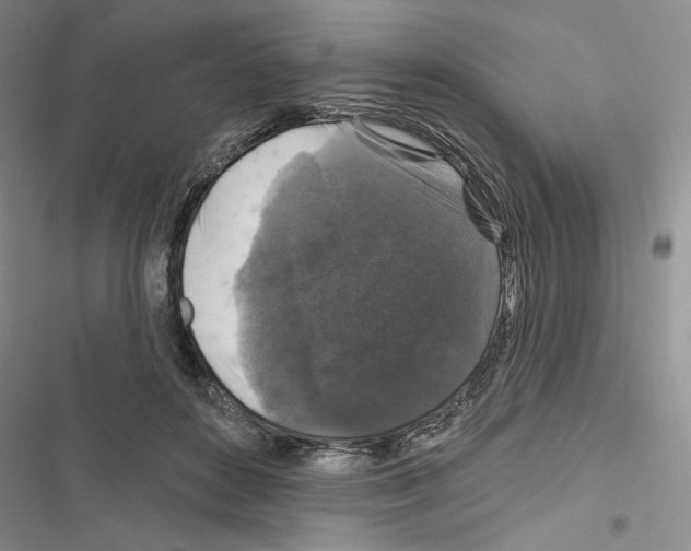 X0000116610504201001221322