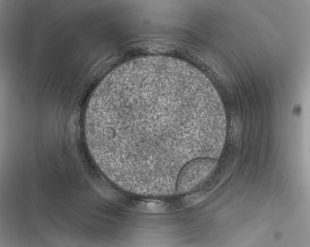 X0000116610506201001221322