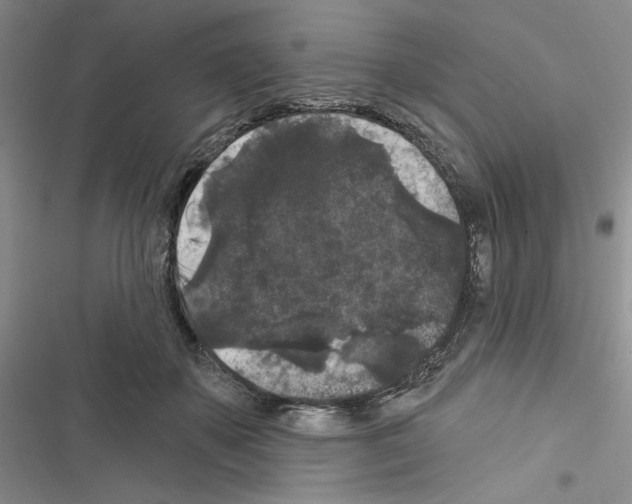 X0000116610507201001221322