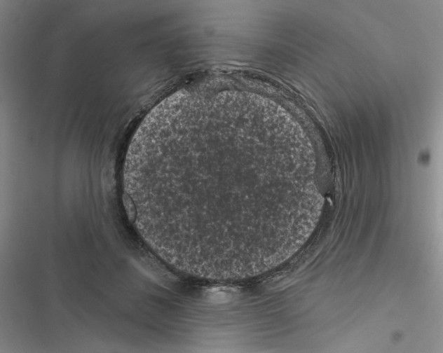 X0000116610508201001221322