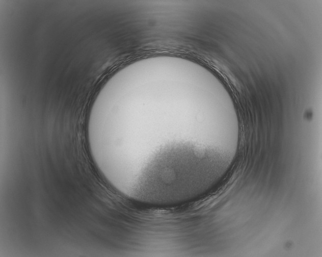 X0000116610509201001221322