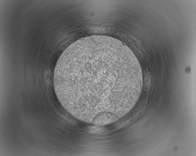 X0000116610511201001221322