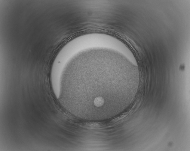 X0000116610513201001221321