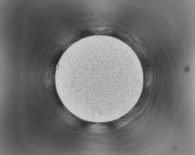 X0000116610515201001221321