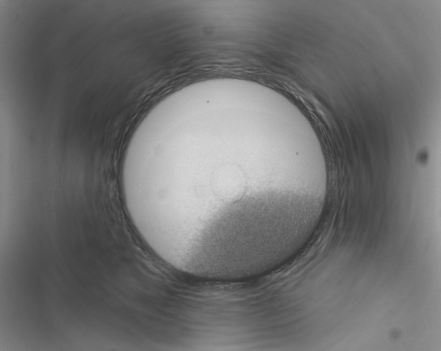 X0000116610517201001221321