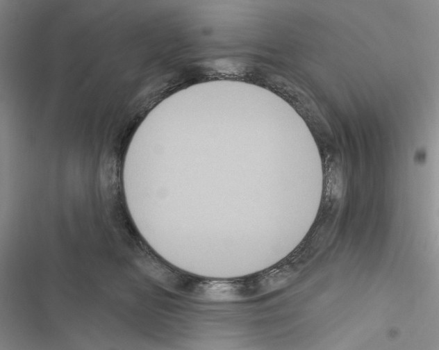 X0000116610518201001221321