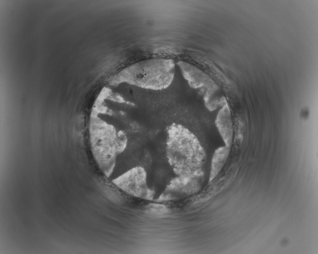 X0000116610519201001221321