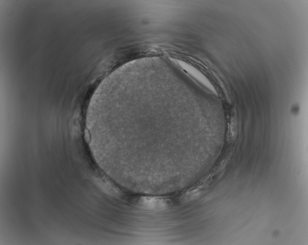 X0000116610520201001221321