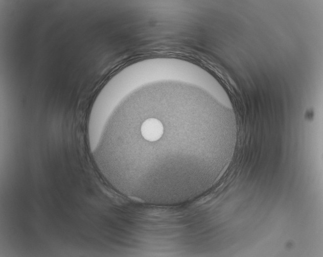 X0000116610521201001221321