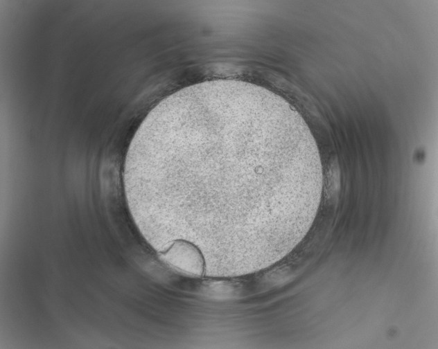 X0000116610522201001221321