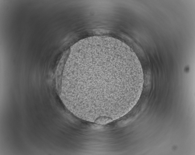 X0000116610523201001221321