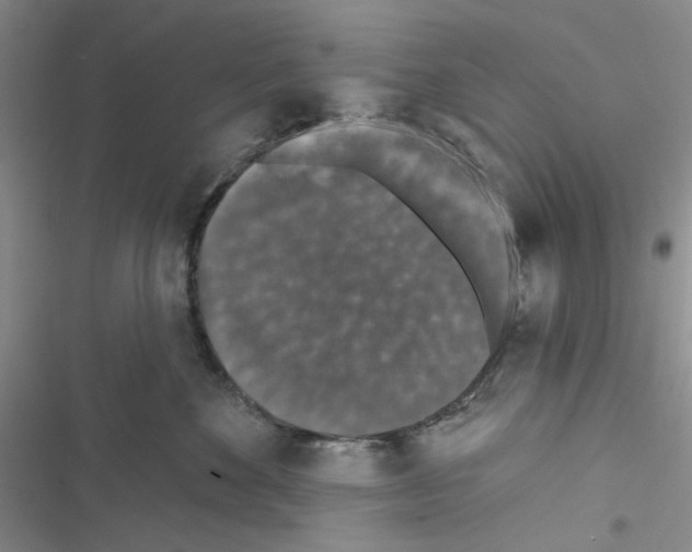 X0000116610524201001221321