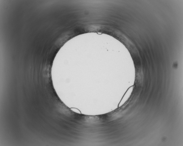 X0000116610525201001221321