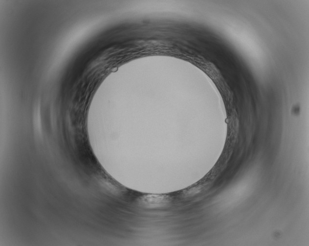 X0000116610526201001221321