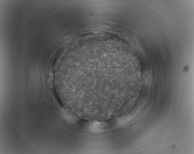 X0000116610527201001221321