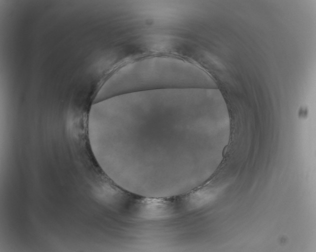 X0000116610528201001221321