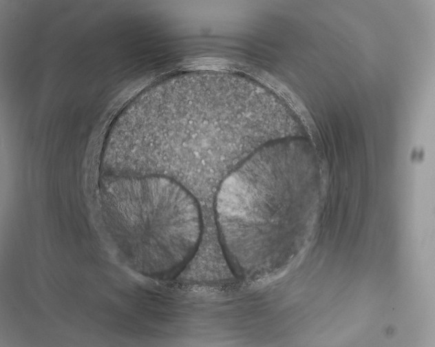 X0000116610529201001221321