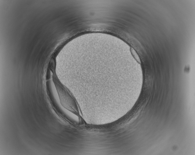 X0000116610530201001221321