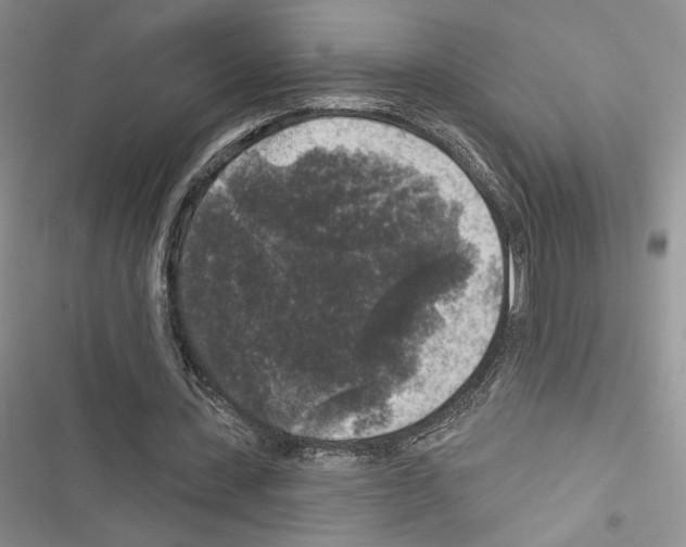 X0000116610531201001221321