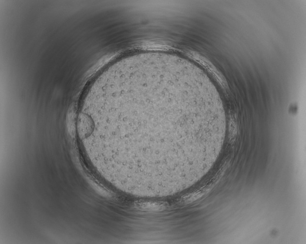 X0000116610533201001221321