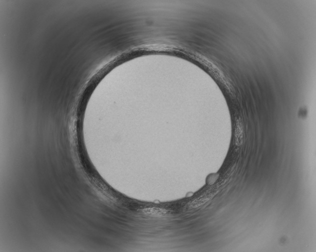 X0000116610535201001221321