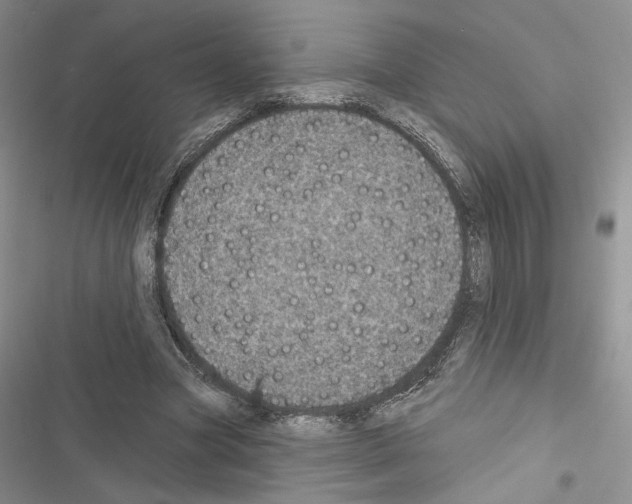 X0000116610537201001221321