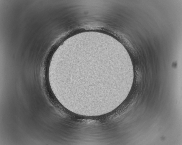 X0000116610539201001221321