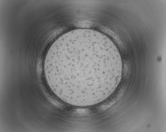 X0000116610541201001221321