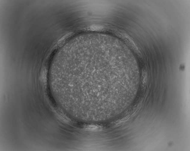 X0000116610542201001221321