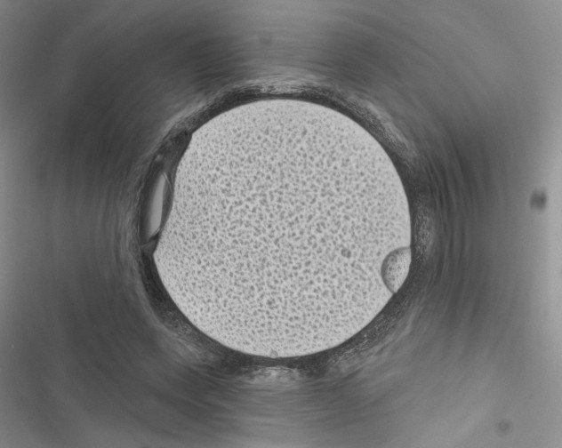 X0000116610543201001221321