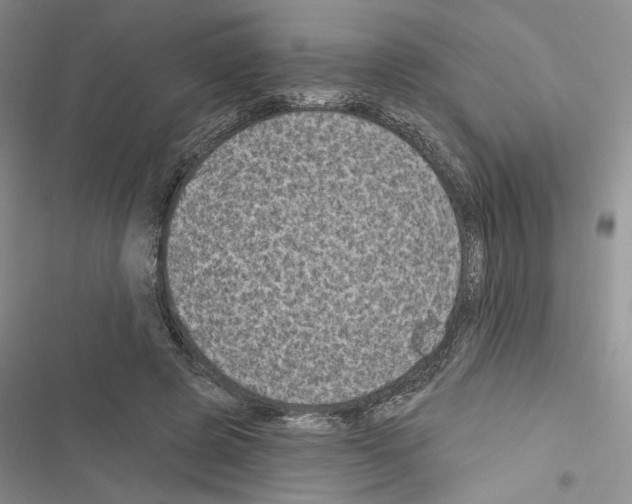 X0000116610545201001221321