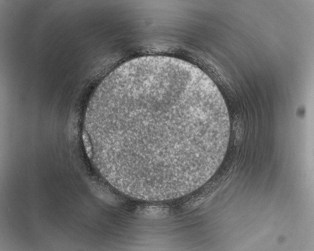 X0000116610546201001221321