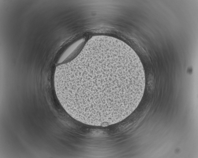 X0000116610547201001221321