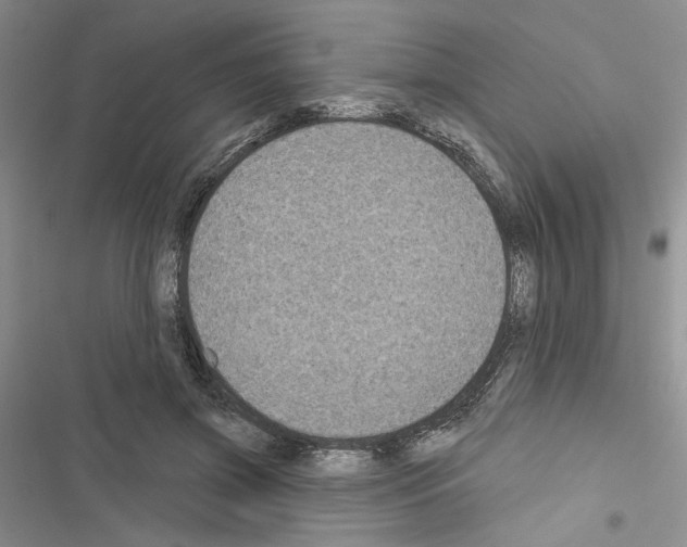 X0000116610549201001221321