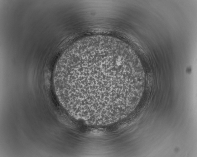 X0000116610550201001221321