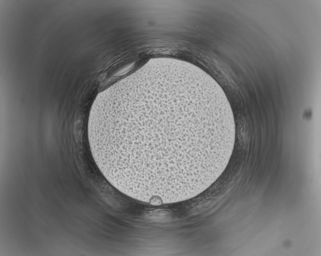 X0000116610551201001221321