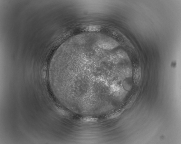 X0000116610553201001221321