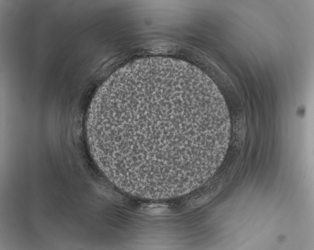 X0000116610554201001221321