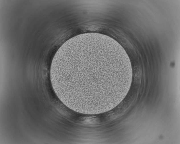 X0000116610555201001221321