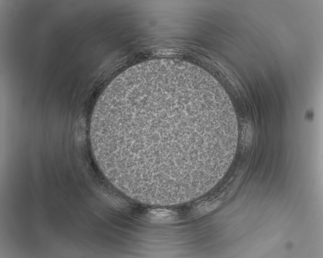 X0000116610557201001221321