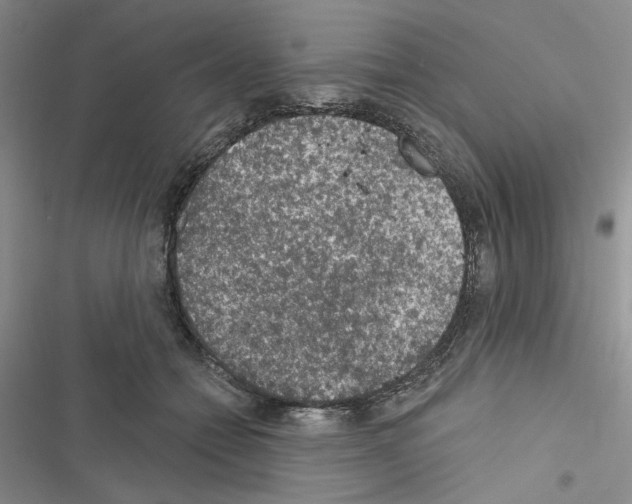 X0000116610558201001221321