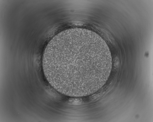 X0000116610559201001221321