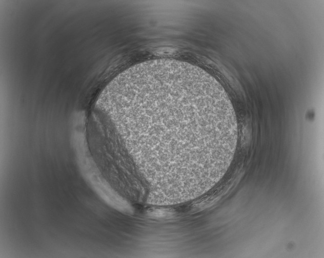 X0000116610561201001221321