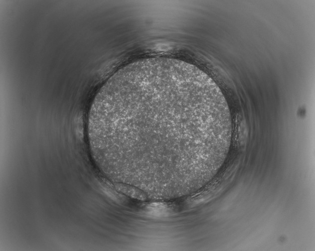 X0000116610562201001221321